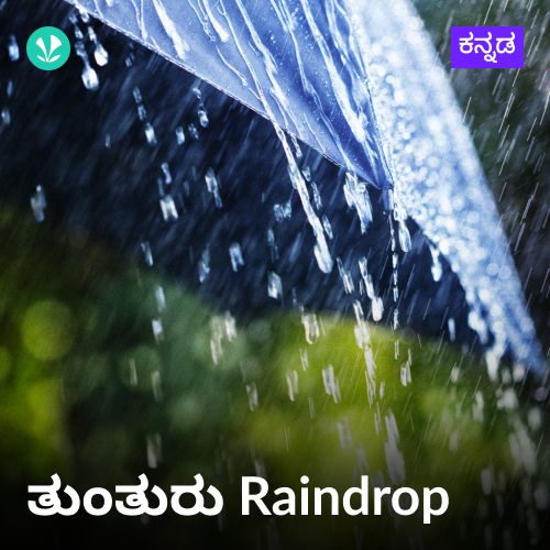 Tunturu Raindrop
