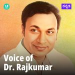 Voice Of Dr Rajkumar - Kannada Film Hits