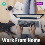 Work From Home - Punjabi