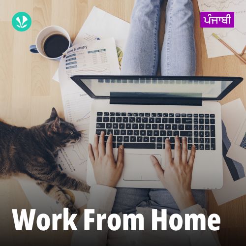 Work From Home - Punjabi