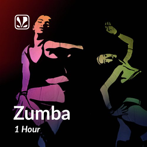 zumba music 2013 download