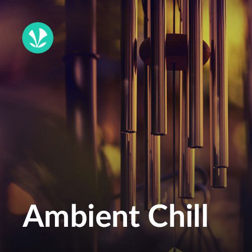 Ambient Chill_poster_image