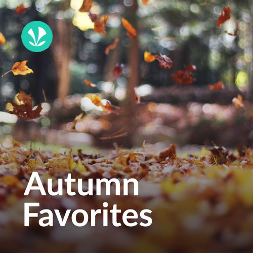 Autumn Favorites