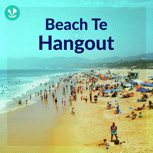 Beach Te Hangout