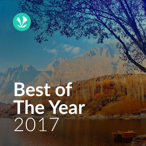 Best of the Year - 2017