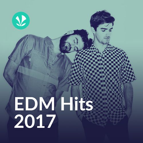 EDM Hits of 2017