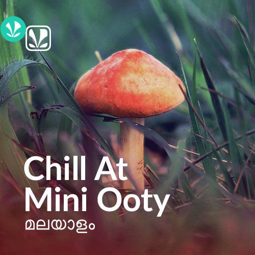 Chill At Mini Ooty