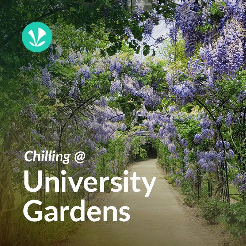 Chilling at University Gardens