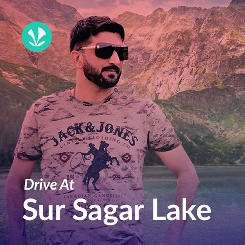 Drive at Sur Sagar Lake