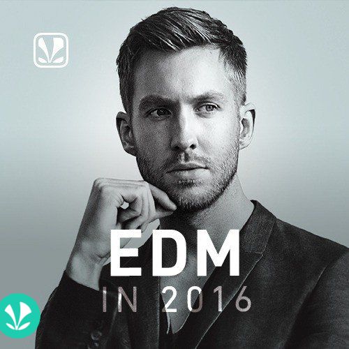 EDM in 2016