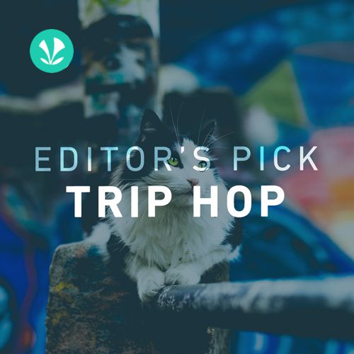 Editors Pick - Trip Hop