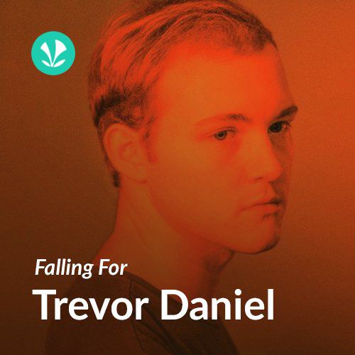 Falling For Trevor Daniel