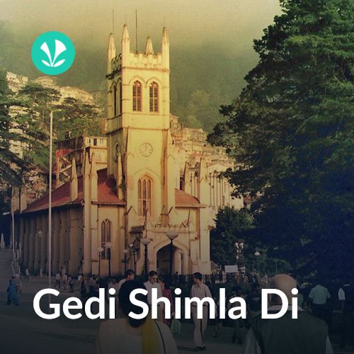 Gedi Shimla Di