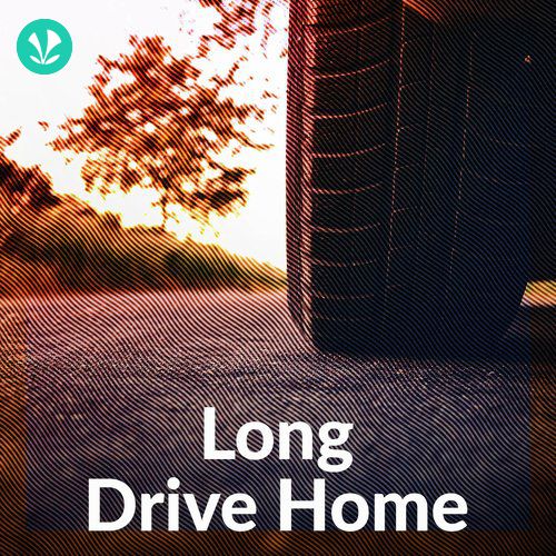 Long Drive Home