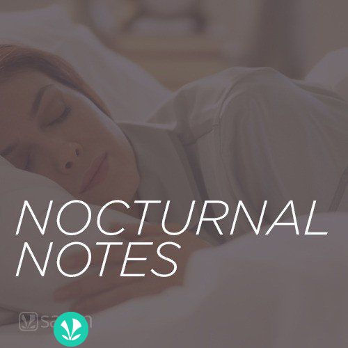 Nocturnal Notes