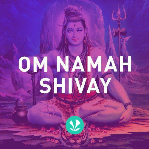 Om Namah Shivay