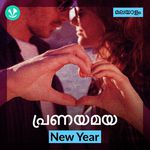 Pranayamaya New Year