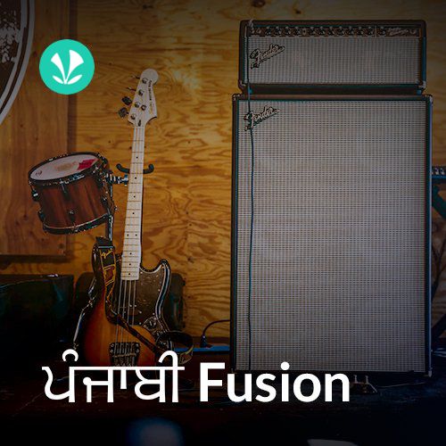 Punjabi Fusion