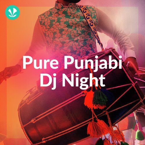 Pure Punjabi DJ Night