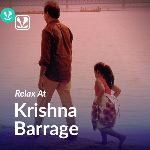 Relax at Krishna Barrage