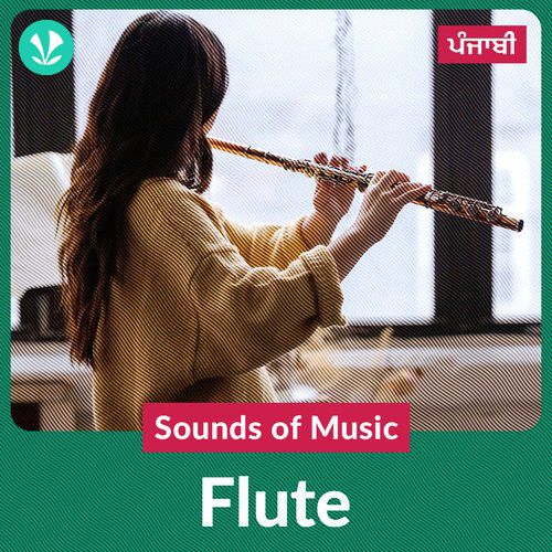 Sounds of Music - Flute - Punjabi