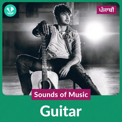 Sounds of Music  - Guitar - Punjabi