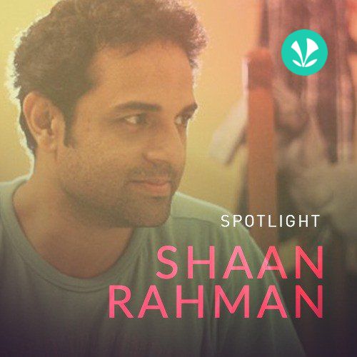 Spotlight - Shaan Rahman