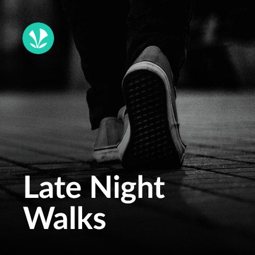 Late Night Walks