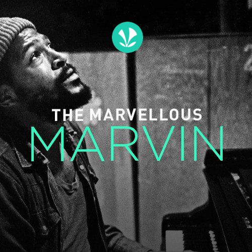 The Marvellous Marvin