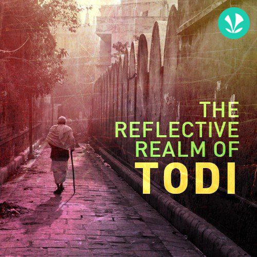 The Reflective Realm of Todi