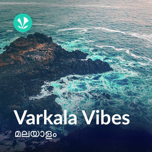 Varkala Vibes