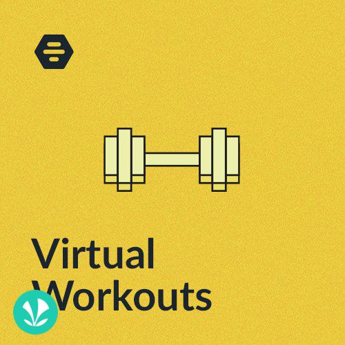 Virtual Workouts