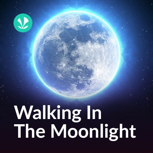 Walking In The Moonlight