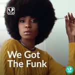 We Got The Funk