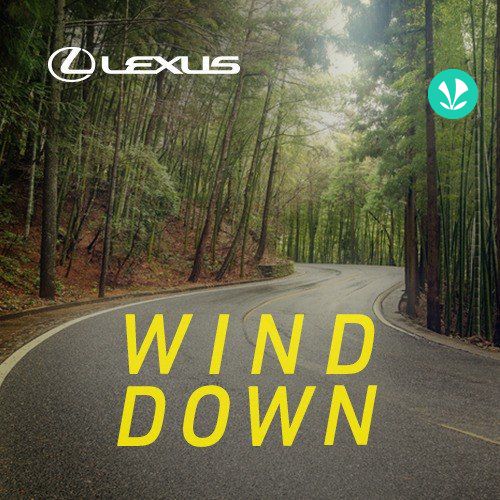 Wind Down By Lexus