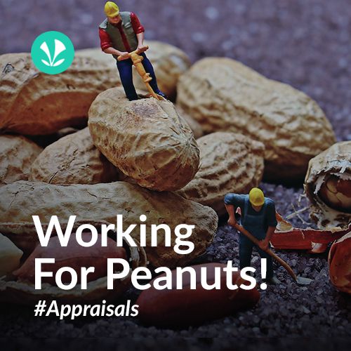 Working For Peanuts!