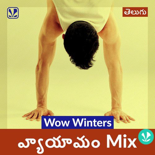 Wow Winters - Vayam Mix - Telugu
