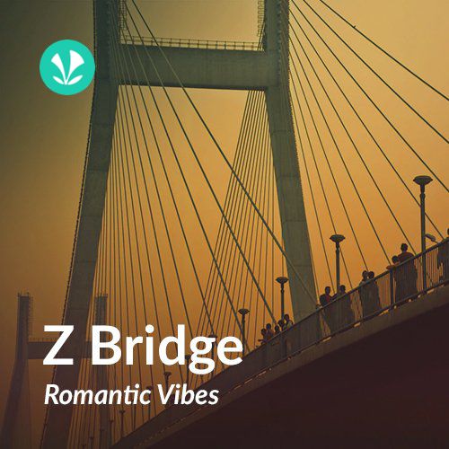 Z Bridge Romantic Vibes