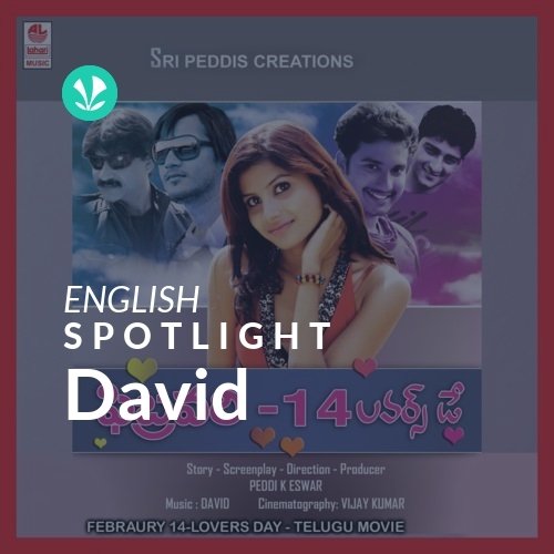 David - Spotlight
