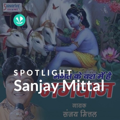 Sanjay Mittal - Spotlight