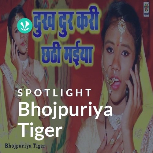 Bhojpuriya Tiger - Spotlight