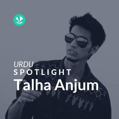 Talha Anjum - Spotlight