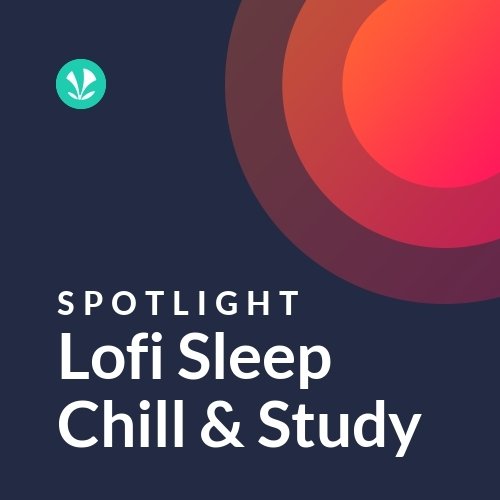 Lofi Sleep Chill & Study - Spotlight