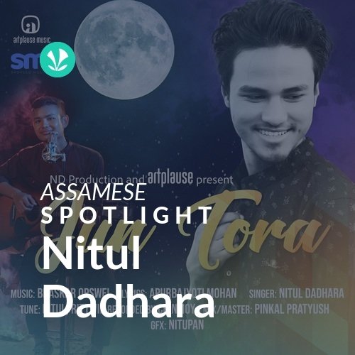 Nitul Dadhara - Spotlight