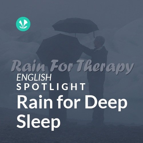 Rain for Deep Sleep - Spotlight