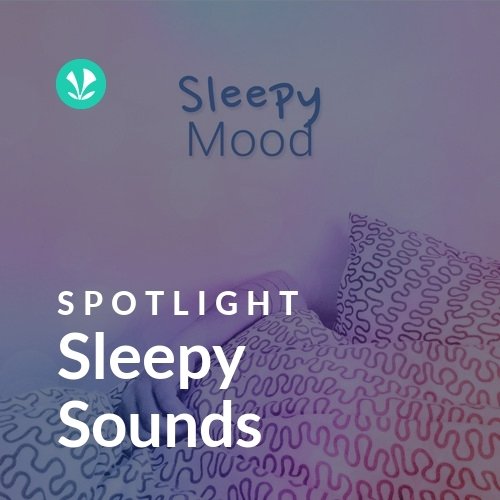 Sleepy Sounds - Spotlight