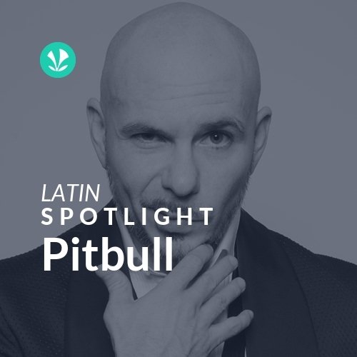 Pitbull - Spotlight