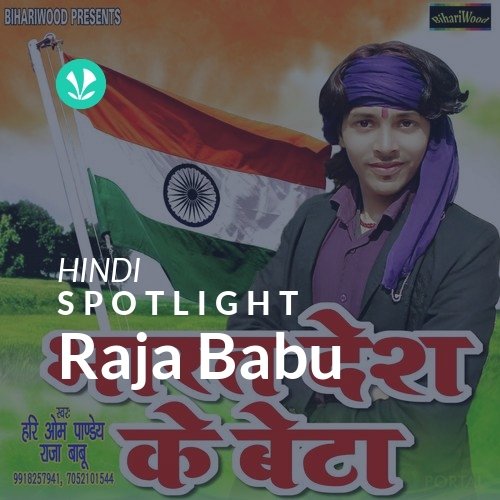 Raja Babu - Spotlight