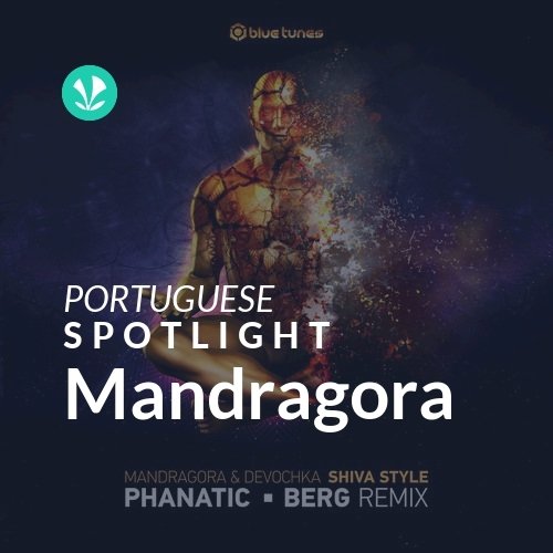 Mandragora - Spotlight