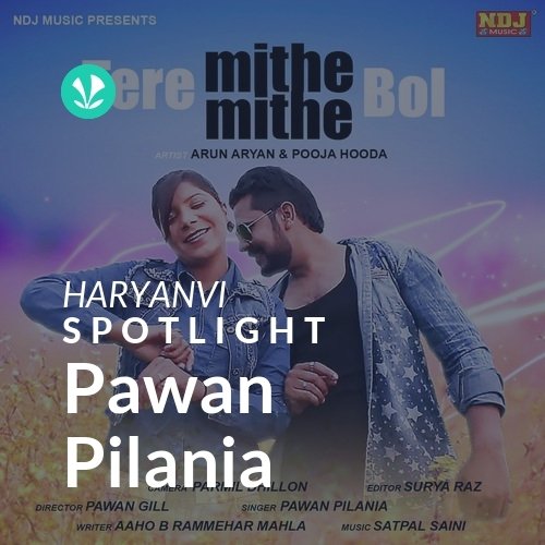 Pawan Pilania - Spotlight